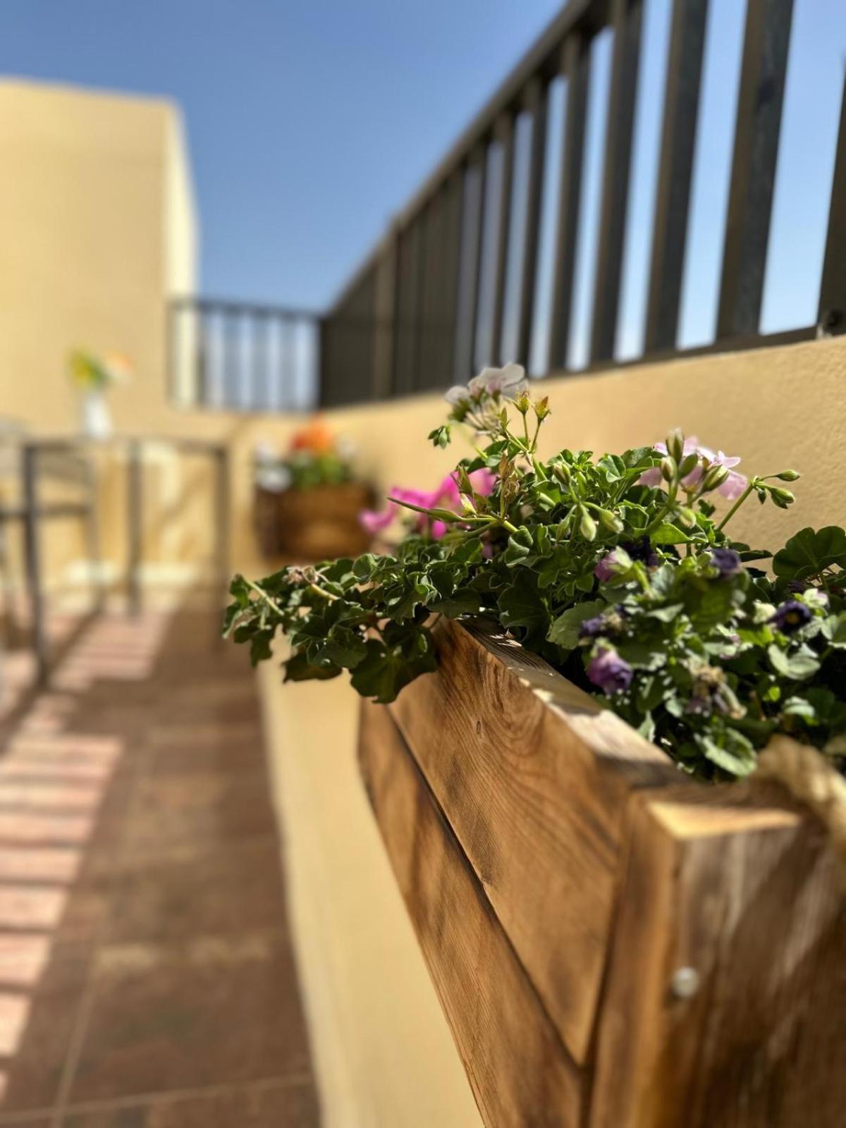 Apartment Nahmar Arrecife (Lanzarote)